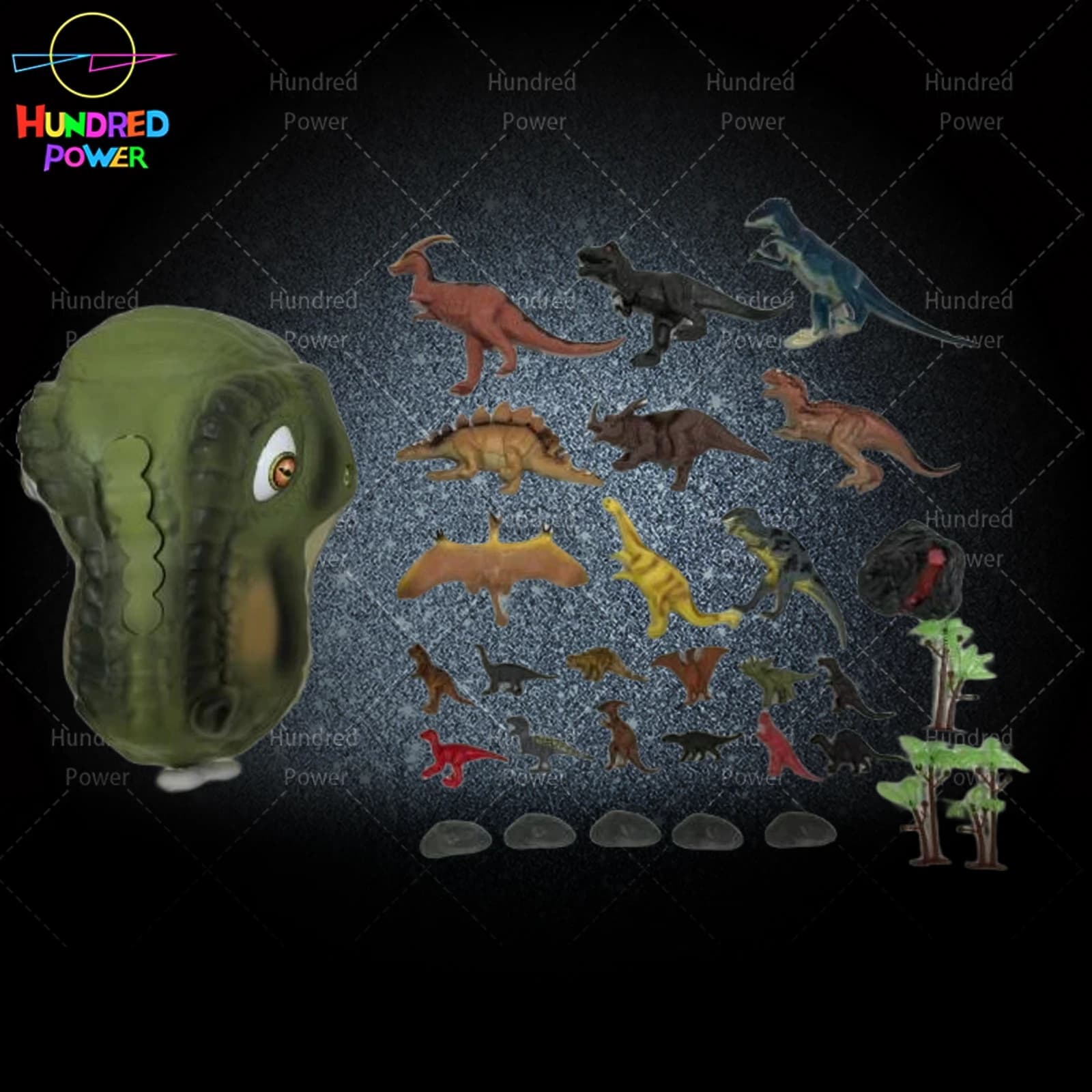 30PCS Large Dinosaur Head - Dinosaur Display Box